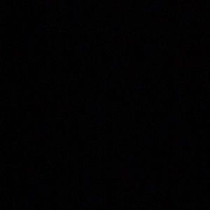 Meet your Posher, Nina